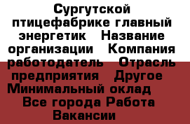Сургутской птицефабрике главный энергетик › Название организации ­ Компания-работодатель › Отрасль предприятия ­ Другое › Минимальный оклад ­ 1 - Все города Работа » Вакансии   